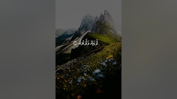 سورة الاخلاص | القارئ سعد الغامدي
