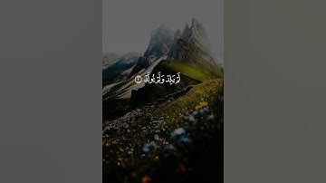 سورة الاخلاص | القارئ سعد الغامدي