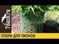 🏡 Как сделать опору для пионов - 7 дач