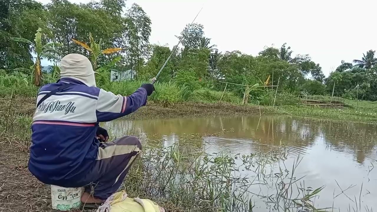 Rain Autonomous Sensory Meridian Response (6) 