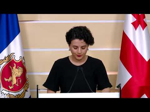 შინაგან საქმეთა მინისტრის მოადგილის - ნათია მეზვრიშვილის ბრიფინგი