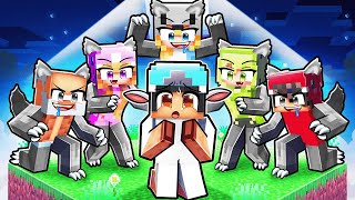 One Sheep On A Wolf Block In Minecraft