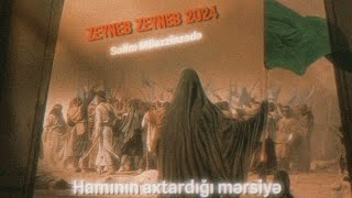 Hərkəsin axtardığı mərsiyə Zeynəb Zeynəb - Səlim müəzzinzadə tam versiya 2024 Resimi