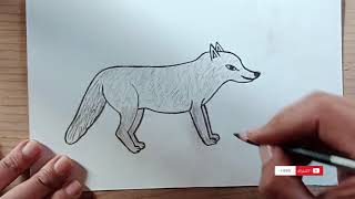 تعليم رسم ذئب بالرصاص خطوة بخطوة للمبتدئين/رسم سهل /How to draw a wolf