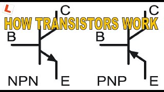 Transistors Part 1. How Transistors Work  Circuits & Components for Beginners. #053