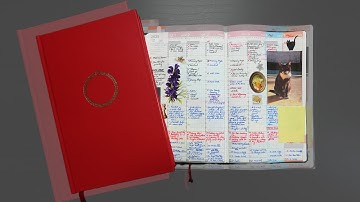 The Only Thing That Stops Me from Doomscrolling