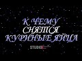 ТОЛКОВАТЕЛЬ СНОВ ~ К ЧЕМУ СНЯТСЯ КУРИНЫЕ ЯЙЦА