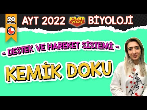 DESTEK VE HAREKET SİSTEMİ - Kemik Doku | AYT Biyoloji #Kamp2022