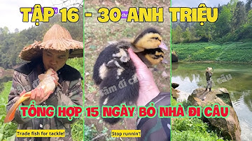 Tổng Hợp 15 Ngày Bỏ Nhà Đi Câu 16-30 | Thử Thách Câu Cá Không Đồng
