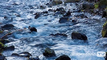 Timelapse: From the Field with Cyrus Sutton