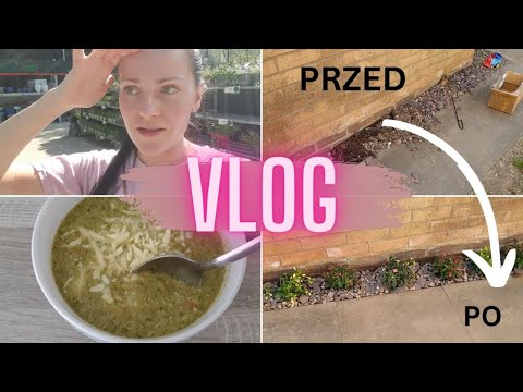 SADZĘ KWIATY W OGRODZIE, MÓJ RACHUNEK ZA PRĄD Z FOTOWOLTAIKĄ, ZUPA Z BROKUŁA ❤️ DAILY VLOG