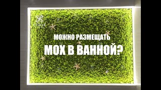 Мох в ванной: можно ли размещать и как ухаживать?