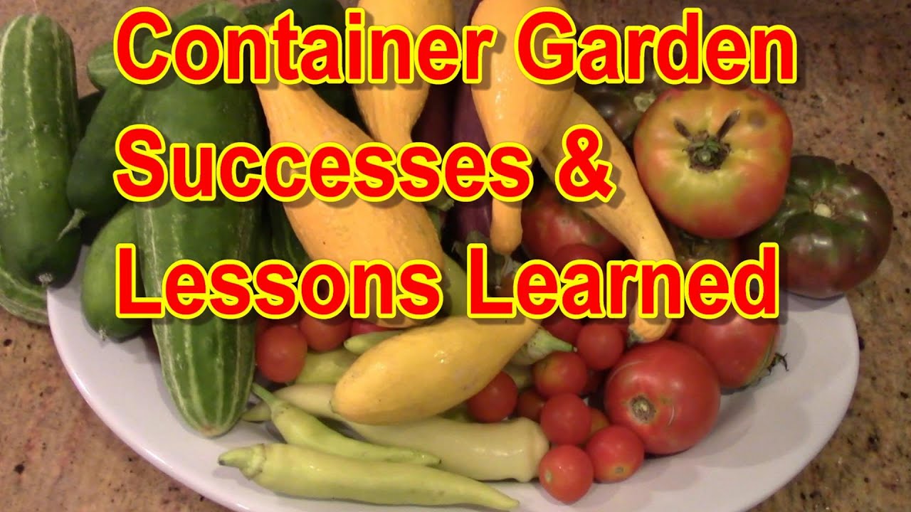Container Vegetable Garden End of Summer VLOGReflection on Successes