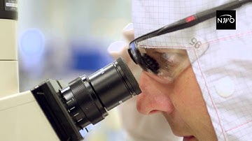 NanoLabNL Quantum Electrical Engineering | NWO programme National Roadmap - 2014