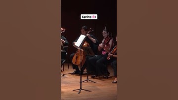 Thumbnail of Vivaldi - What's Your Favorite Season?