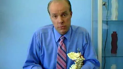 Ear Infections and Chiropractic--Dr...  Stephen Ru...