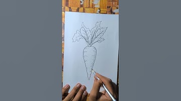 Easy Carrot Drawing Tutorial. || How to Draw Carrot #art #shorts #drawing