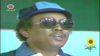 مرت الأيام حبيبي | النور الجيلاني