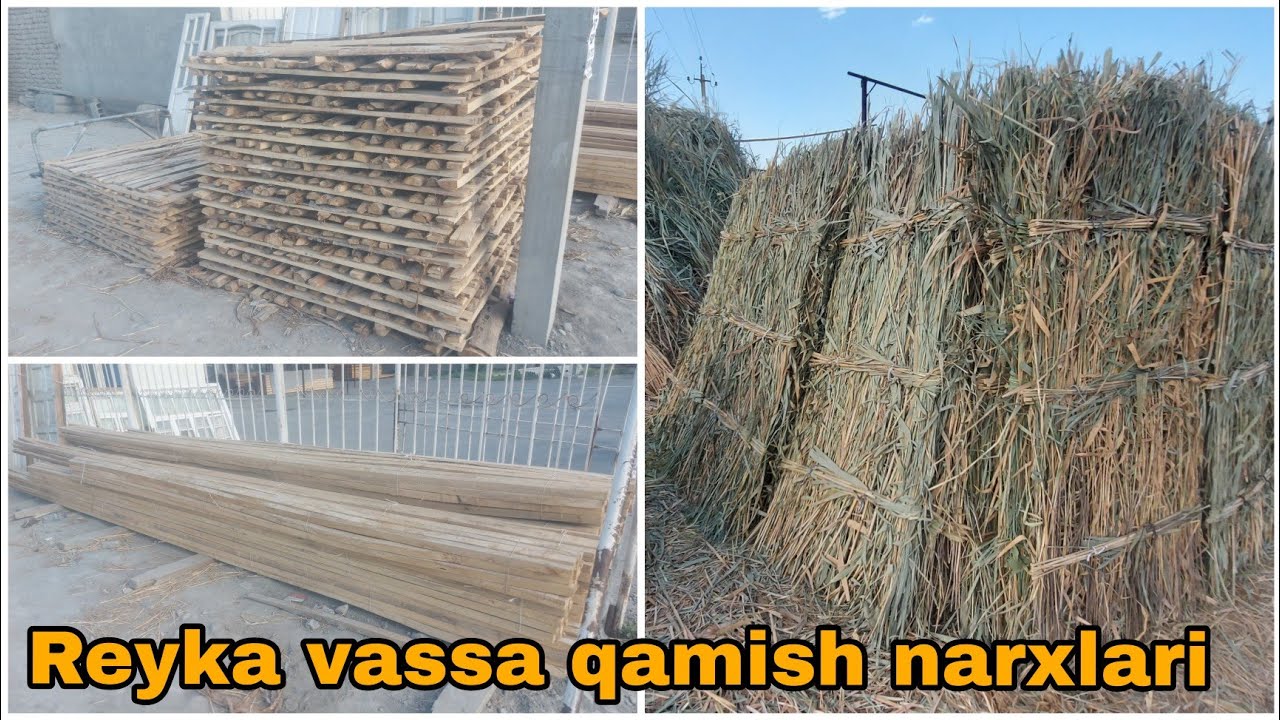 Reyka Vassa Qamish narxlari | ☎️934815859 | reyka narxlari