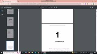 Black Hat Bash Kali Linux Expert Book