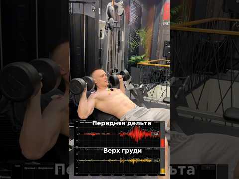 Верх груди и миограф💪🏼За персональным планом обращаться в телеграм:@TrainerSmirnoVV