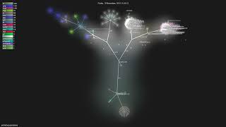 primefaces/primeng - Gource visualisation