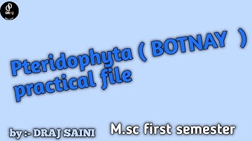 Pteridophyta ( BOTNAY  ) practical file || m.sc. first semester ( previous  ) botnay  prectical-file