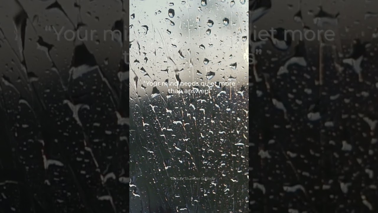 Your Mind Needs Quiet More Than Answers