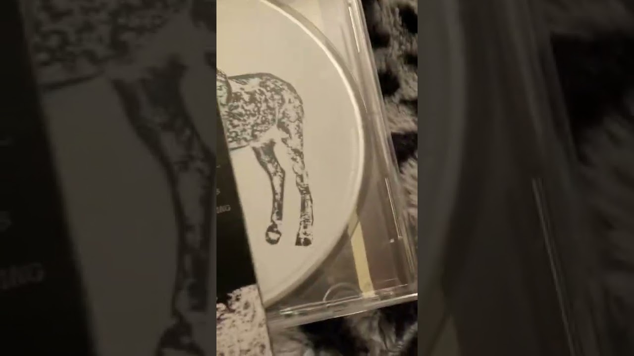 Rob Zombie Educated Horses Cd review