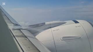 Engine nacelles starke produce vortices