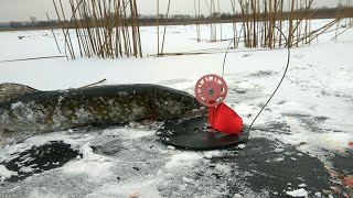 ЛОВЛЯ ЩУКИ НА ЖЕРЛИЦЫ. Первый лёд, рыбалка на жерлицы.