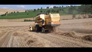 Buğday Biçimi Yapıyoruz Tc56 Şfet Ğday