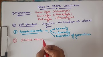 Basis of Algae Classification Simplified 🌿 