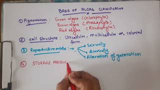 Basis of Algae Classification Simplified 🌿 