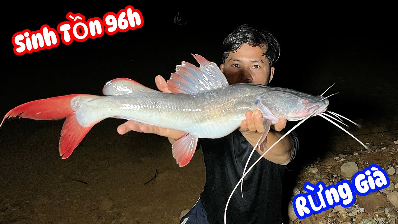 Sinh Tồn 96h Ở Rừng Già Ku Đen Săn Được Cá Lăng Đỏ Lớn Trong Đêm Tối Ngày 3- survival in the junglei