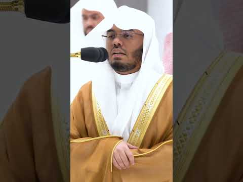 ولا أصغر من ذلك ولا أكبر إلا في كتاب مبين تلاوة بديعة للشيخ ياسر الدوسري التلاوة كاملة بالوصف