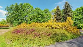 Górny Śląsk, Chorzów, park Śląski, słoneczny wiosenny klimat w slo-mo, maj 2026.