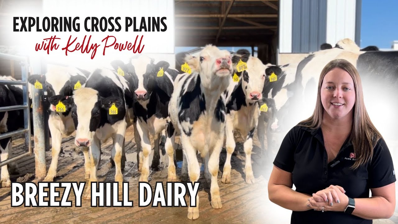 Exploring Cross Plains with Kelly Powell Breezy Hill Dairy Farm YouTube
