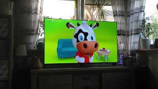 Toggo Plus 14.07.2023