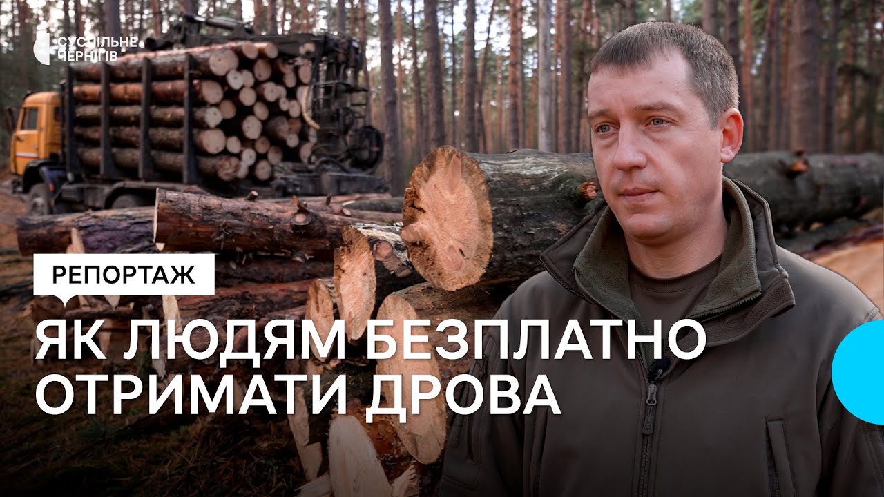 На 188 лісових ділянках Чернігівщини люди можуть безплатно заготовити дрова
