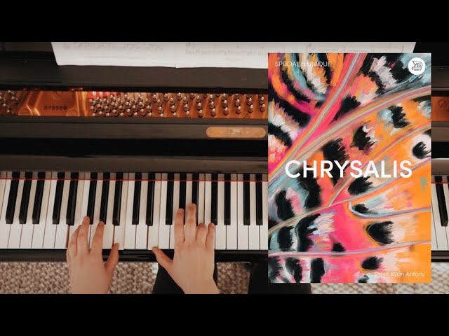 Chrysalis - Steve Ryan Antony bekijken op YouTube Chrysalis - Steve Ryan Antony bekijken op YouTube