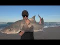 The Mighty Mulloway Quest: Episode 9 - GIANT Gummy Shark!