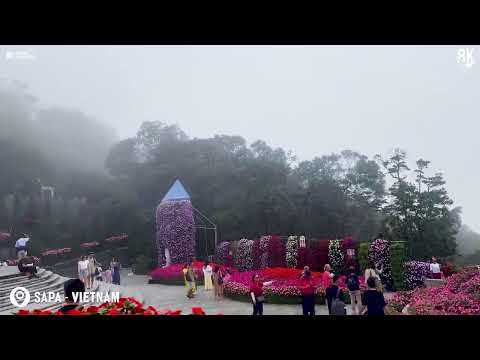 Fog in Sapa Vietnam