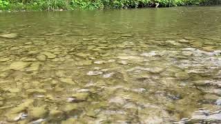 Sleeping on the Boyne River *sleep sounds*