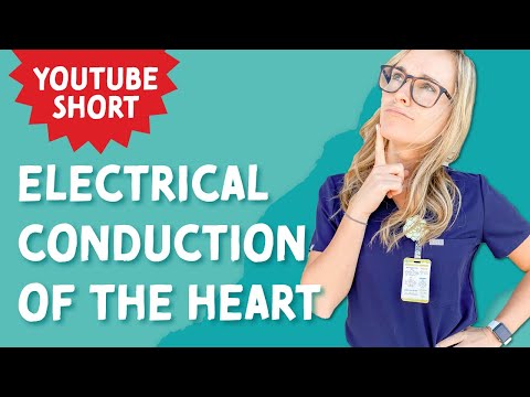 Electrical Conduction of the Heart #shorts #nursingschool #nclex #nursingstudents