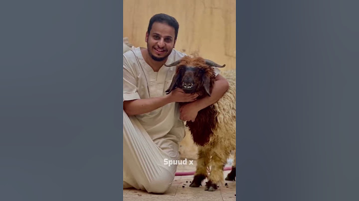 شباب البومب 10  - عـامـر الكنترول 😎 كفووو ✨😍 فخامة تصميم🤯🔥/ رهيب 😳😂¦ جديد2022 HD