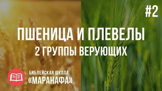 Пшеница и плевелы. Две группы верующих. Матфея 13 глава  | Библейская Школа Маранафа