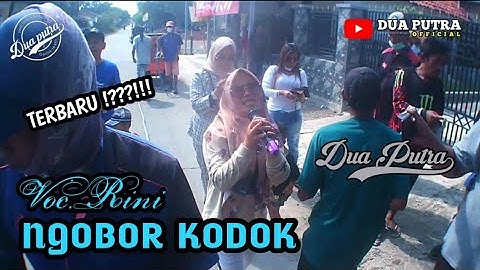 NGOBOR KODOK || VOC.RINI || DUA PUTRA_LIVE DESA CIPA