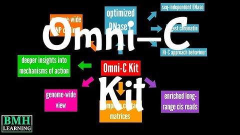 Omni-C kit | Dovetail Omni C Technology |