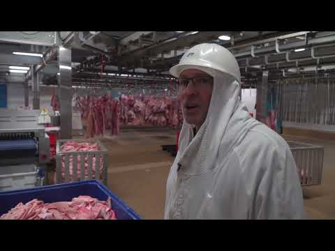 La gélatine animale,